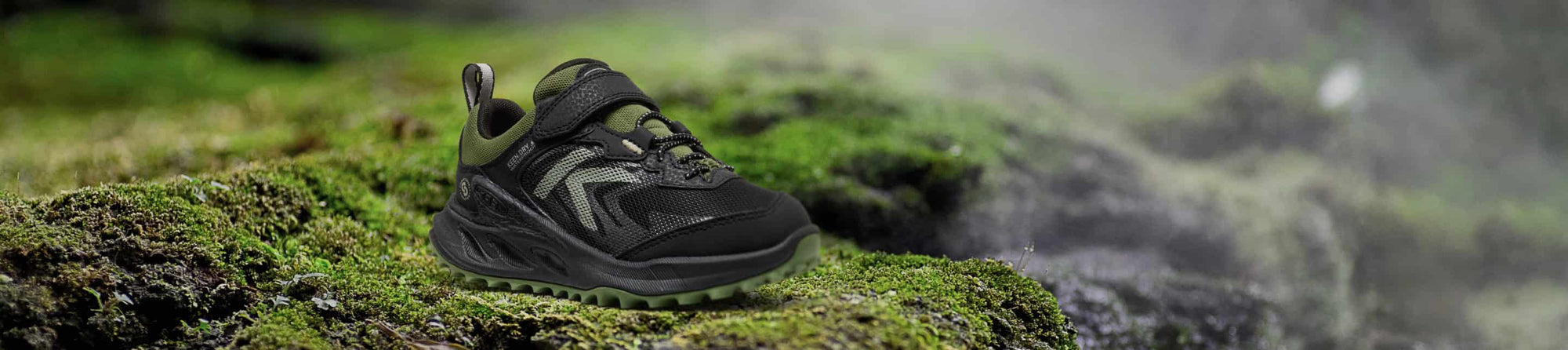 Kids' Light Hike