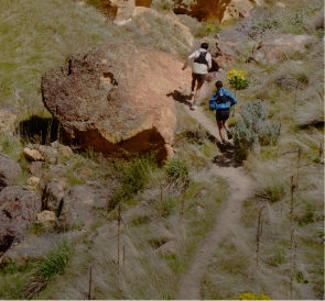 Zwei Personen laufen auf einem schmalen Pfad durch eine trockene, felsige Landschaft mit Gras und großen Felsen.