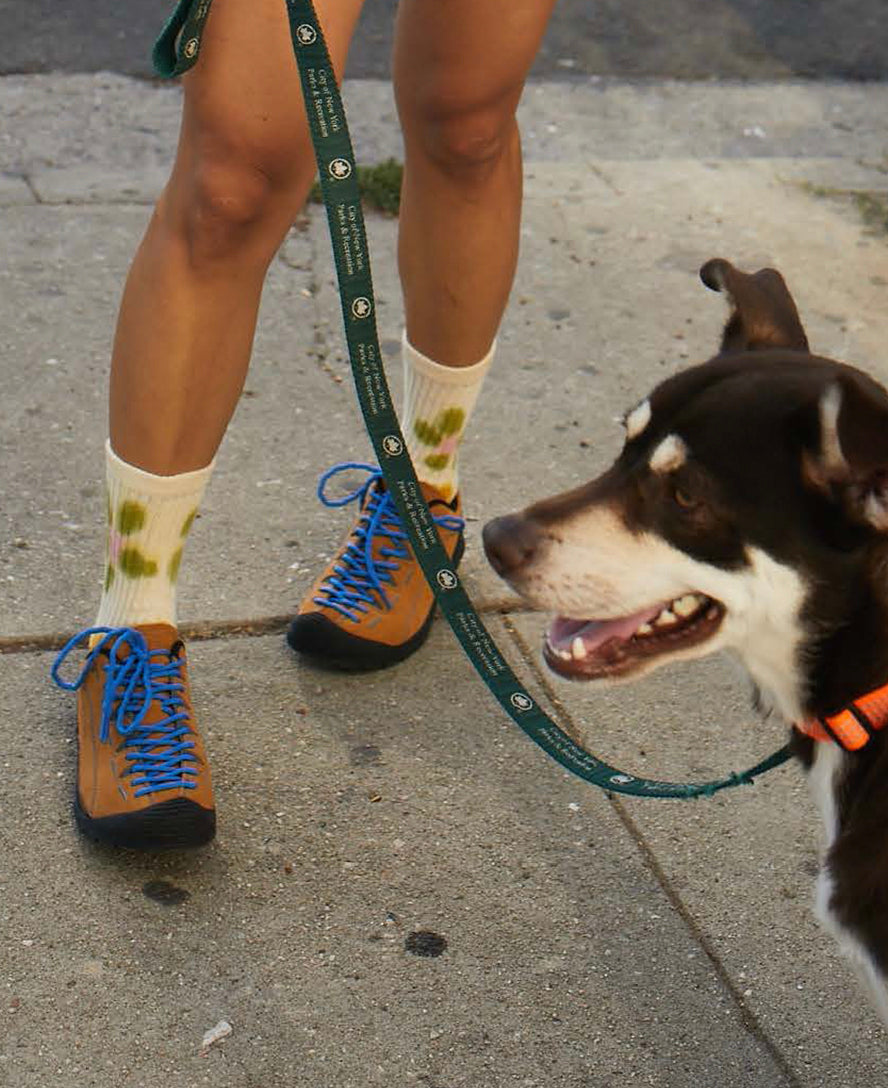 Women's Jasper Sneaker | Pink Lemonade/Skipper Blue | KEEN
